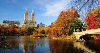 Que faire à New York en octobre ? Les activités et évènements à ne pas manquer