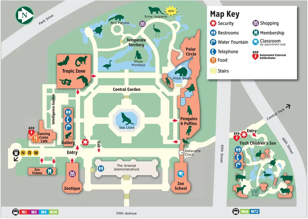 plan zoo de central park new york mon amour