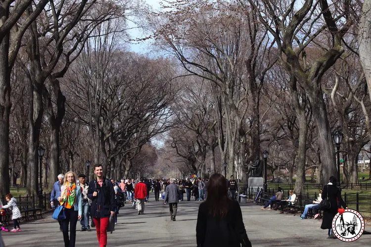 Se promener à Central Park