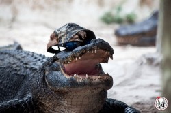 Passer quelques jours à Miami Beach