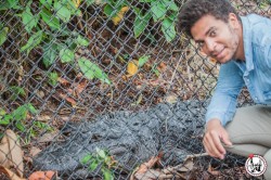 Passer quelques jours à Miami Beach