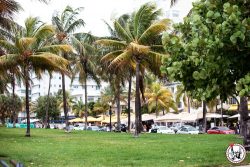 Passer quelques jours à Miami Beach