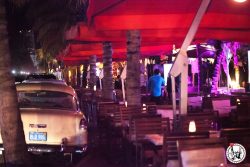 Wordpress referencement google image Miami Beach ocean drive palmiers soirée