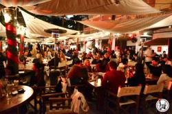 Wordpress referencement google image Miami Beach ocean drive palmiers soirée