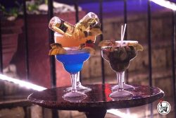 Wordpress referencement google image Miami Beach ocean drive palmiers soirée