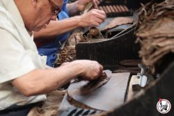 Arthur Avenue : le Little Italy du Bronx