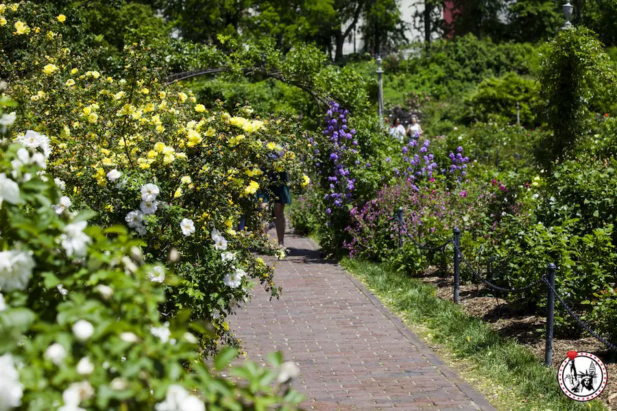 le bon plan gratuit du Brooklyn Botanic Garden