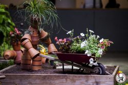 le bon plan gratuit du Brooklyn Botanic Garden