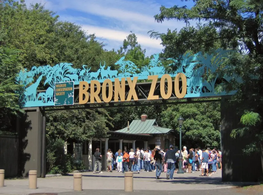 zoo bronx