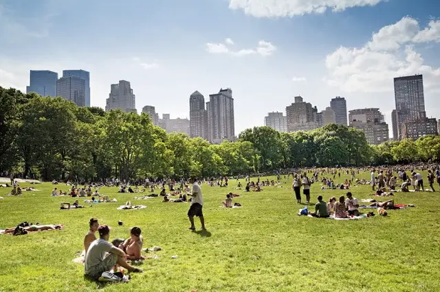 activités gratuites : faire un pique-nique à Central Park