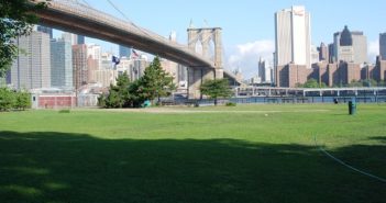 Top 10 des parcs de New York