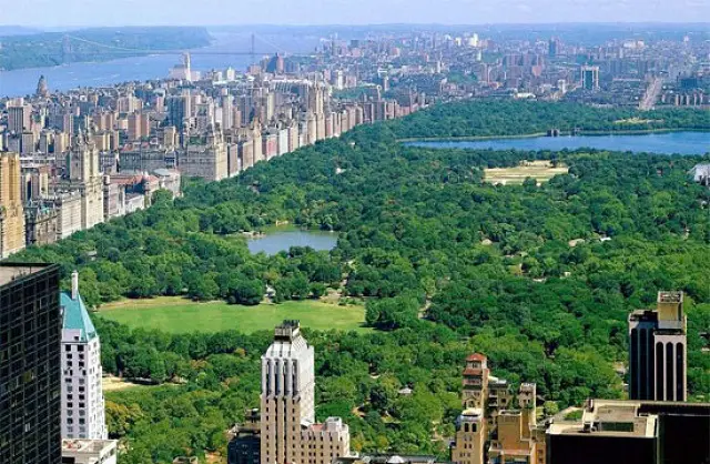 Central Park en photo