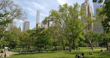 Comment faire du sport à New York ? pratiquer une activité sportive à New York