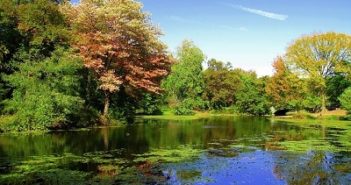 Prospect Park : bienvenue au Central Park de Brooklyn ! parc de Brooklyn