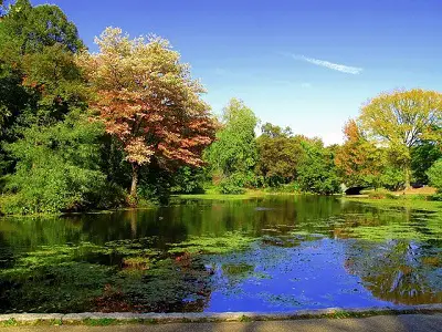Prospect Park : comment visiter ce parc de Brooklyn